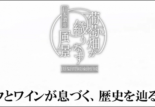 【特別動画】ブドウ・ワインのふるさと「山梨県峡東地域」をご紹介します！